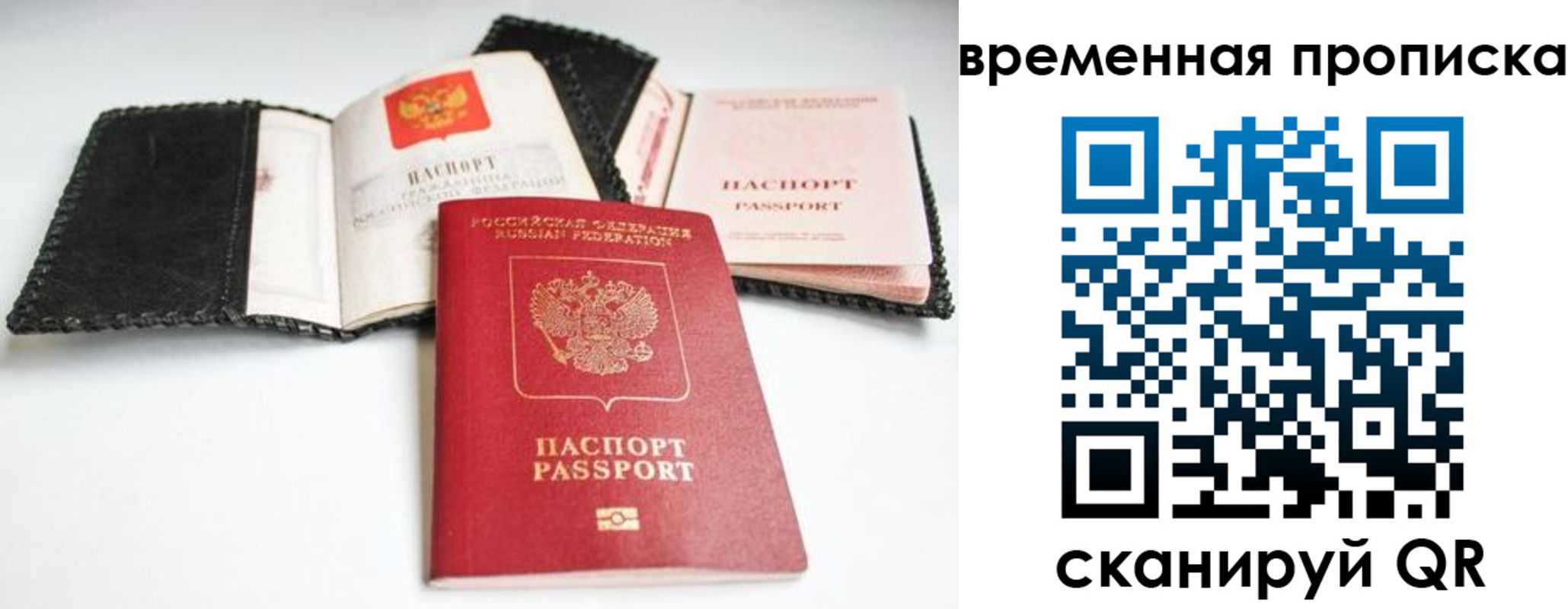 прописка для школы в Камышине
